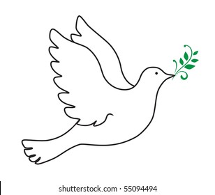 vector dove symbol  on white