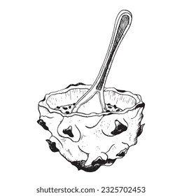 Vector dragon fruit half dessert with spoon black and white illustration. Tropical Asian pitaya clipart. Realistic line drawing for exotic flavours, summer designs