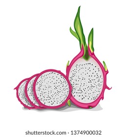 Vector Dragon fruit illustration