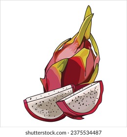 vector dragon fruit, suitable for stickers and other design elements