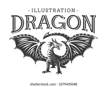 Vector Dragon illustration, print, emblem design on a white background.