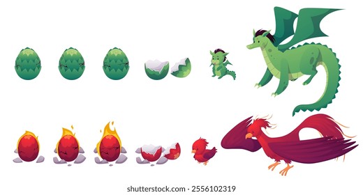 The vector of the dragon and phoenix life cycle: from egg to adult, with wings, smile, tail, claws and hair. The characters transform from children to adults