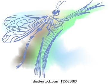 Vector dragonfly