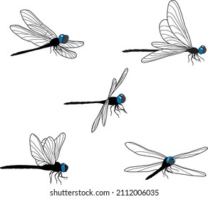 Vector dragonfly in flight from different angles 