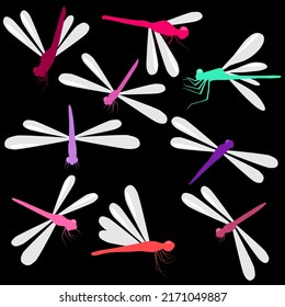 Vektorgrafik-Libellensymbole auf isoliertem Hintergrund