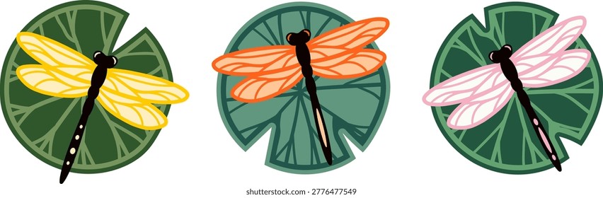 Vector dragonfly illustration. Fauna summer illustration. Wildlife concept. 
