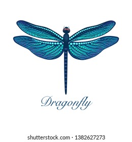 Vector Dragonfly illustration. Stylized insect for t-shirt, poster, invitation card, textile, paper print.