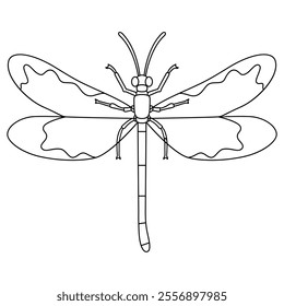 Vector Dragonfly Insect Cartoon Illustration Isolated