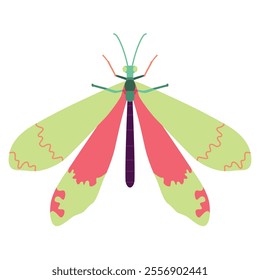 Vector Dragonfly Insect Cartoon Illustration Isolated