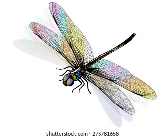  Vector dragonfly isolated and colorful. EPS10