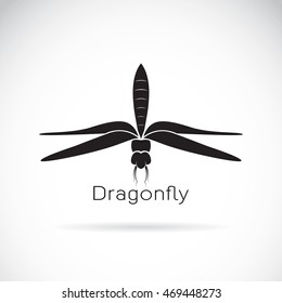 Vector of dragonfly on white background