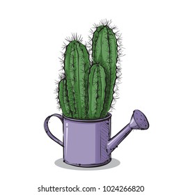 Vector draving of cactus. Sketchstyle