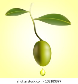 Vector draw(eps 10) Olive with leaves and drop of oil over a bright background