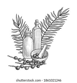 vector drawing acai palm oil, bottles, berries and leaves of Euterpe oleracea, mortar and pestle, hand drawn illustration
