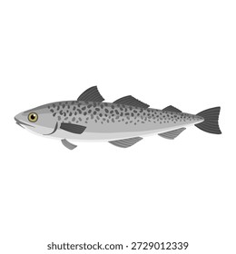 Vektorgrafik Alaska-Pollock, kommerzieller Fisch einzeln auf weißem Hintergrund, handgezeichnet