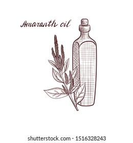 vector drawing amaranth oil, bottle of vegetable oil and amaranth plant, hand drawn illustration