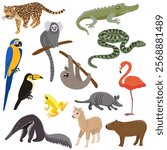 vector drawing animals of South America isolated at white background, hand drawn illustration, natural design elements