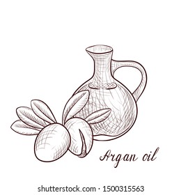 vector drawing argan oil, bottle of vegetable oil and nuts of argania ,hand drawn illustration