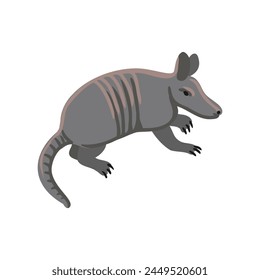 Vector dibujo armadillo, animal de dibujos animados aislado en el fondo blanco, ilustración dibujada a mano