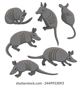 vector drawing armadillo, cartoon animals isolated at white background, hand drawn illustration