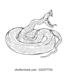 Vector drawing of a/Snake line drawing/Easy to edit, colour version also available in my portfolio. black and white outline stroke file. 