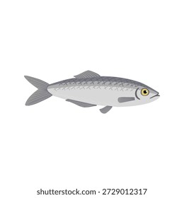 Vektorgrafik Atlantischer Hering, Kommerzieller Fisch einzeln auf weißem Hintergrund, handgezeichnete Illustration