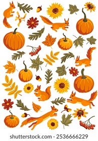 vector drawing autumn set of orange pumpkins, flowers, squirrels and leaves,design elements, hand drawn illustration