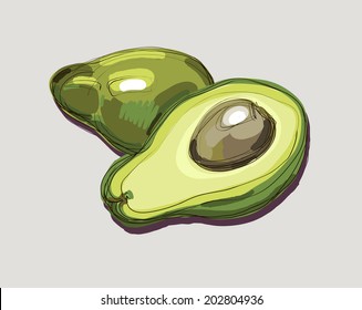 Vector drawing avocado