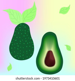 Vector drawing of an avocado in a cut