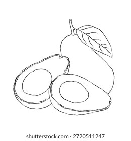 Vector drawing of an avocado isolated. Vector cartoon illustration. Flat icon of a fruit branch. avocado flat illustration. Stylized collection of flat vector elements, outline drawing for avocado design, vector avocado line art, hand-painting design set, EPS format