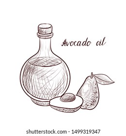 aceite de aguacate vectorial, botella de aceite vegetal y aguacates, ilustración dibujada a mano