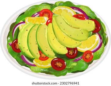 Vector drawing, avocado salad, vegetable, salad, tomato, lemon, onion, health, avocado, Salad vector