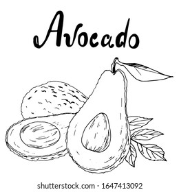 Dibujo vectorial de un aguacate y sus rodajas en un estilo gráfico. Ideal para diseñar menús, comida saludable, recetas.