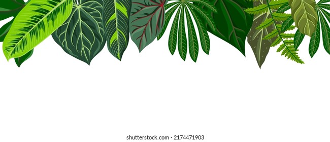 vector drawing background with green tropical leaves at white background , natural template for banner or cover design,hand drawn illustration