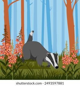 Vector dibujando tejón, pinos, flores de algas rojas y hierba verde, animal dibujado a mano en el fondo del bosque, ilustración de estilo de dibujos animados