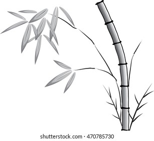 vector drawing bamboo