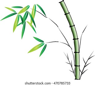 vector drawing bamboo