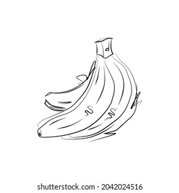 Vector drawing of bananas. Doodle imitating freehand drawing