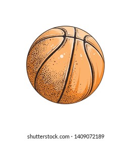 Vector drawing of basketball ball in color, isolated on white background. Graphic illustration, hand drawing. Drawing for posters, decoration and print. Vector illustration