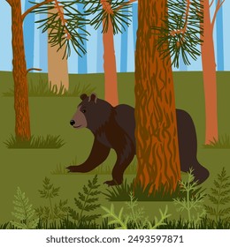 vector drawing bear , pine trees and green grass, hand drawn animal at forest background , cartoon style illustration