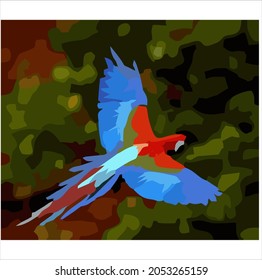 vector drawing of a beautiful bird in flight 
