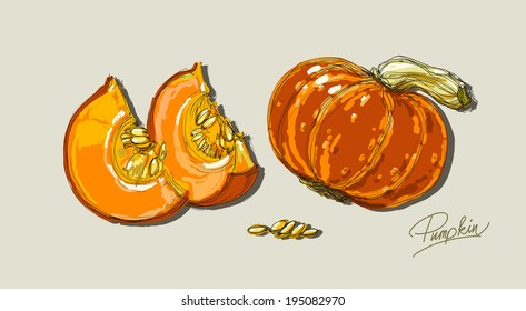 Vector drawing of beautiful colorful pumpkins
