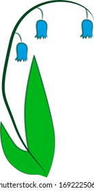 Vektorillustration einer Glockenblume mit blauen Blumen.