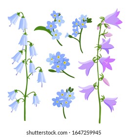 flores de campana de dibujo vectorial, campanula y olvida-me-nots, elementos florales aislados de fondo blanco, ilustración dibujada a mano