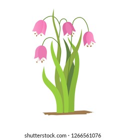 Vector drawing bell flowers, isolated floral element, hand drawn botanical illustration.