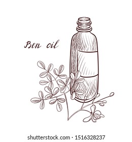 vector drawing ben oil, bottle of vegetable oil and Moringa oleifera, hand drawn illustration