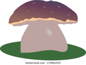 Vector drawing big mushroom boletus
