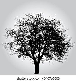 dibujo vectorial del gran árbol de invierno desnudo