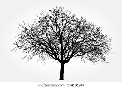 vector drawing of the big naked winter tree