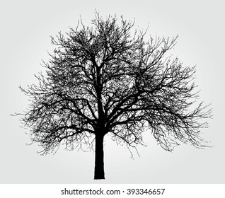 dibujo vectorial del gran árbol de invierno desnudo